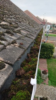  Gutter clearing - before 