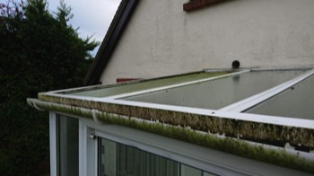  Gutters and roof in need of a clean 